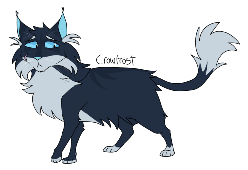 #crowfrost#warrior cats#warriors#shadowclan#deputy#oots#avos #design notes: hes short. hes also pretty scrawny under that long fur  #hes built a little bit like his daughter sleekwhisker but they dont look alike on the surface  #shes also physically stronger than him through the power of hashtag girlboss  #crowfrost just has the power of seems like a pretty decent guy which unfortunately gets u killed if ur deputy so