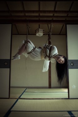 thevertigonetwork:    Kinbaku&Photo Hajime