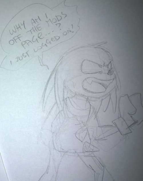 slightly-gay-pogohammer:will mod knuckles join the revolution against the dictator?will mod amy foll