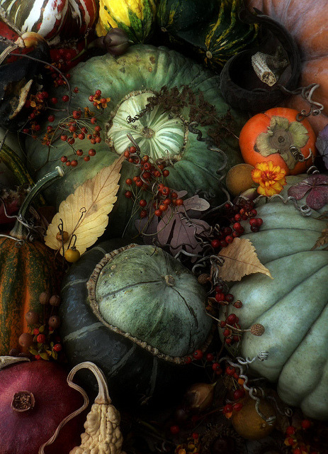  TheOpalDreamCave: Autumnal Collection. Photo by Zsaj on Flickr. Please retain photographer’s