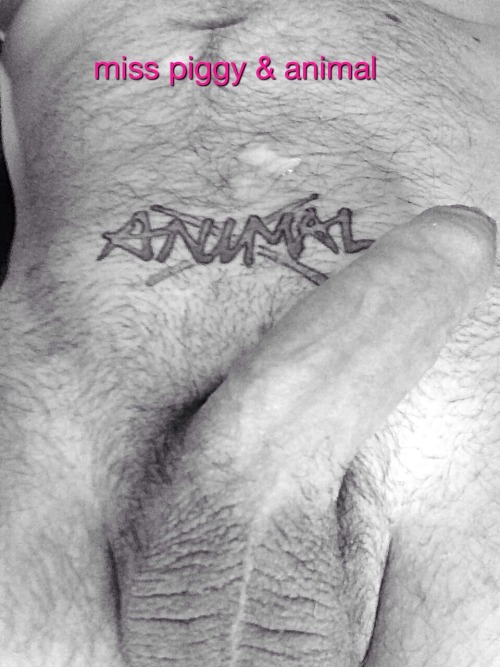 misspiggy-and-animal:  We are miss piggy & animal Thankyou for following please like and share 💋❌👠💋💦💦💦