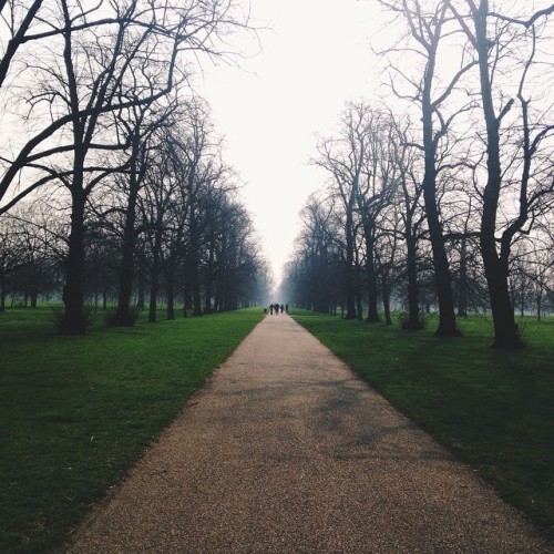 Early (my early) morning jog in Hyde Park #jogging #hydepark #london #vscam #vscocam