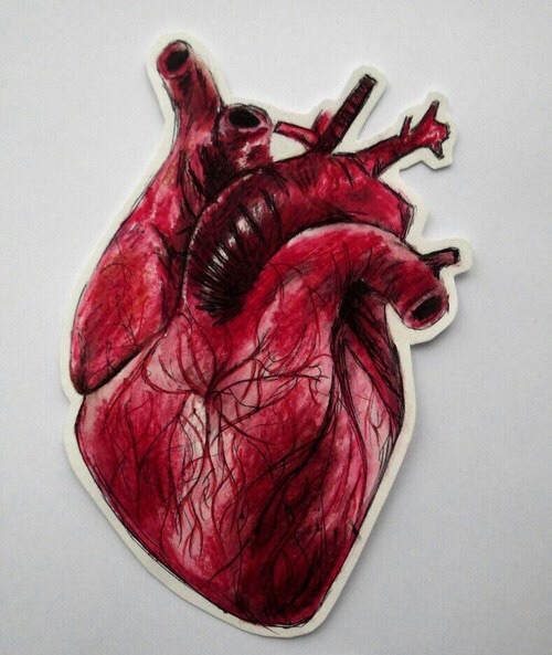 medicalbasics:  Via: arrhythmic-medicalheart 