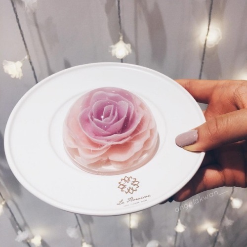 mayahan: Edible Raindrop Jelly Cake Includes a Cherry Blossom Flower Blooming on Your Plate