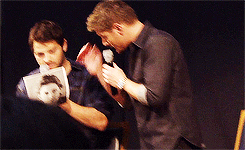  “I would love to go (to Russia) with Misha and just watch him sink and be like