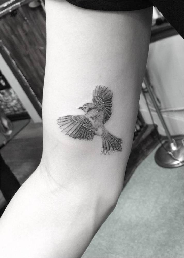 Little Tattoos Fine Line Blue Jay Tattoo On The Right Inner Arm