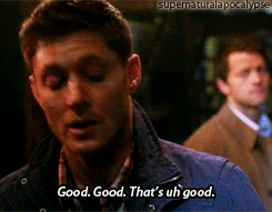 supernaturalapocalypse:  SPN10 Countdown Challenge - [10/23] - 9x10 - Road Trip No