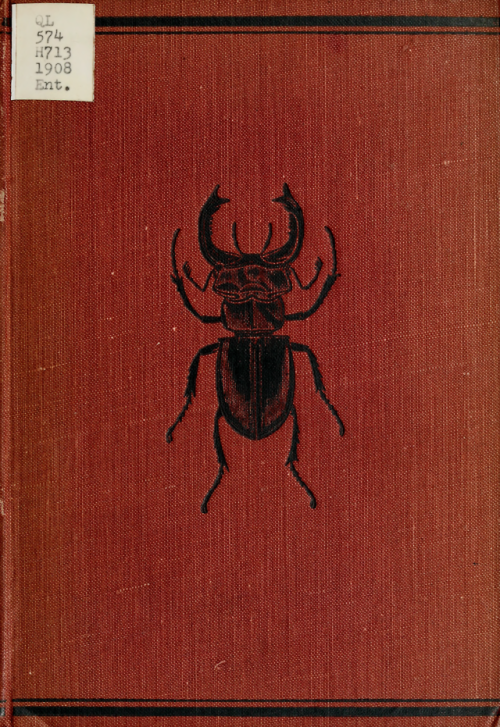 nemfrog:The young beetle-collector’s handbook. 1908. Book cover. 