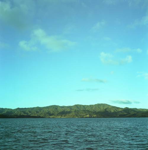 mattvvilliams: Coromandel