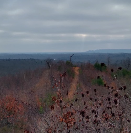 Hike #52 - Knobstone Trail, near Memphis, IN. Jackson Road Trailhead to mile marker 7. ~3.3 miles At