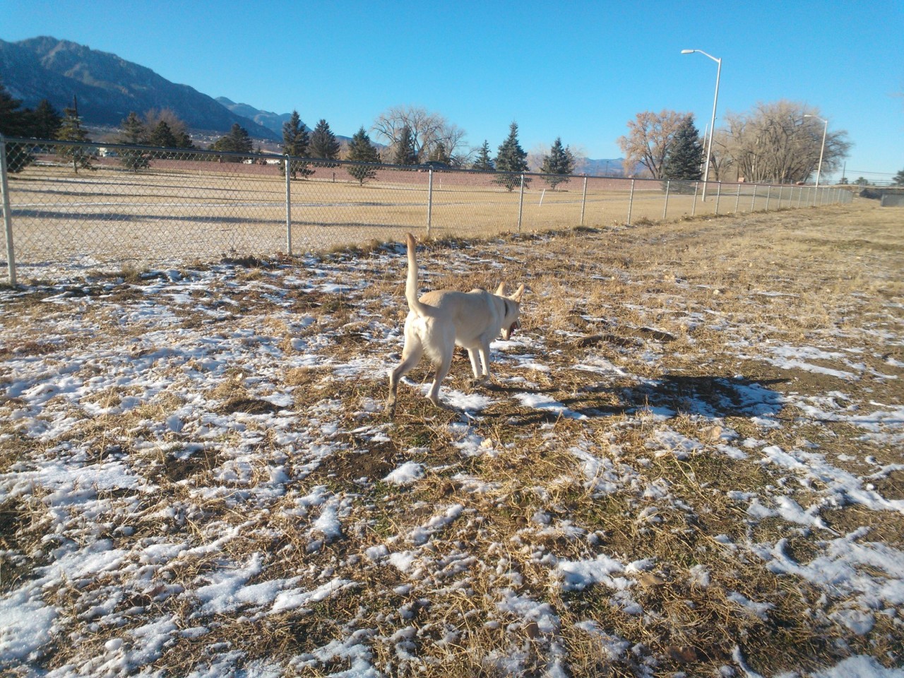 Juvia was happy as a clam yesterday with that big stick lol