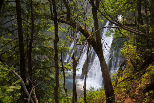 dmhconcepts: McArthur-Burney Falls