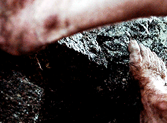 tossme:  &ldquo;You do not understand!&rdquo; said Pippin. &ldquo;You