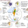 Israeli territory and Palestinian territories
« Atlas des frontières », Hugo Billard & Frédéric Encel, Autrement, 2021
by cartesdhistoire
[[MORE]]At the Versailles Peace Conference (1919), the Zionist Organization presented its map of territorial...