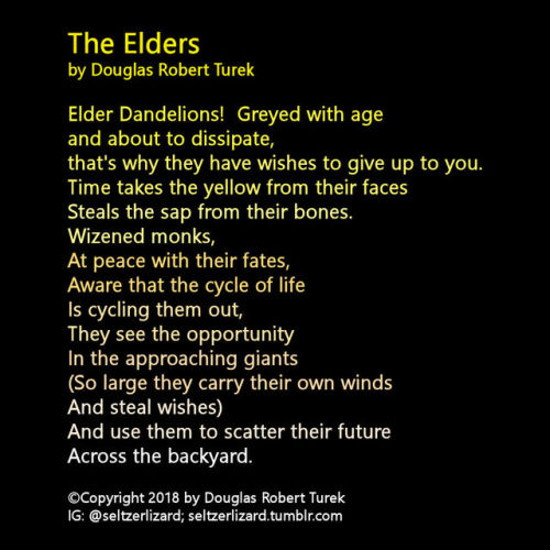 The Elders by Douglas Robert Turek