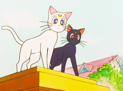 Sailor Moon Screencaps