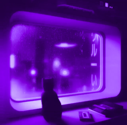 pics Purple Cat Aesthetic vaporwave cat tumblr posts tumbral com