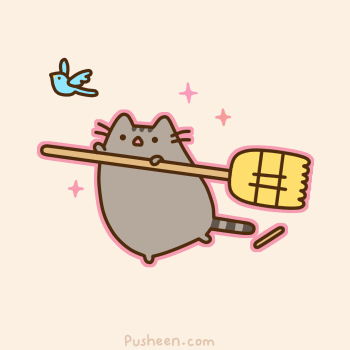laughingsquid:  Cat Wizards