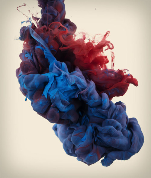lovelylittlebear: High-Speed photographs of ink dropped into water.