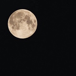 krizmarphotography:  My moon many moons ago.