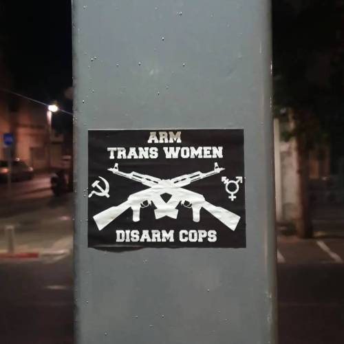 radicalgraff: “Arm Trans Women, Disarm Cops”Sticker seen in Tel Aviv