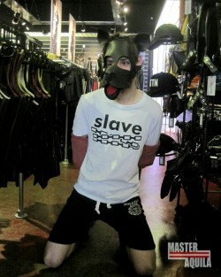 ssurgul:  michael111113:  slaveoli:  Just trying on the mask. Think I make a better slave than pup.  🐶🐶🐶  A slave that has some pup desires and training, to me, is much better than a pup that has some slave desires. ;) 