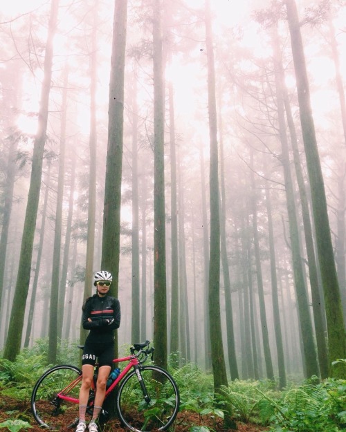 razumichin2:  Mystic mountain bike miss in misty forest