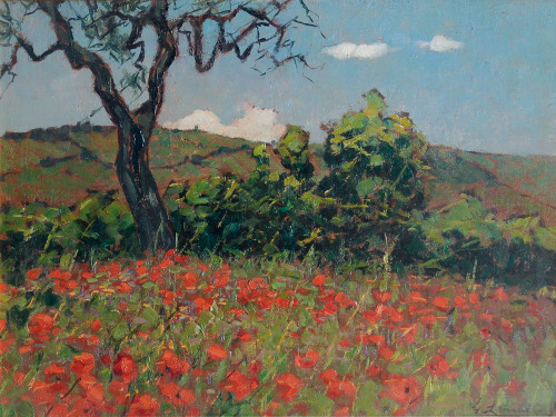 Poppies in Bloom   -   Giovanni LomiItalian 1889-1969Oil on canvas,  22x31,5