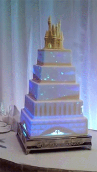 burritorama:  sizvideos:  Video  Is it wrong that i need this at my wedding? 