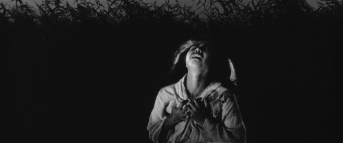 cinemasubcinema:  Såsom i en spegel (1961)Director: Ingmar Bergman Onibaba   (1964)  Director: Kaneto Shindô   