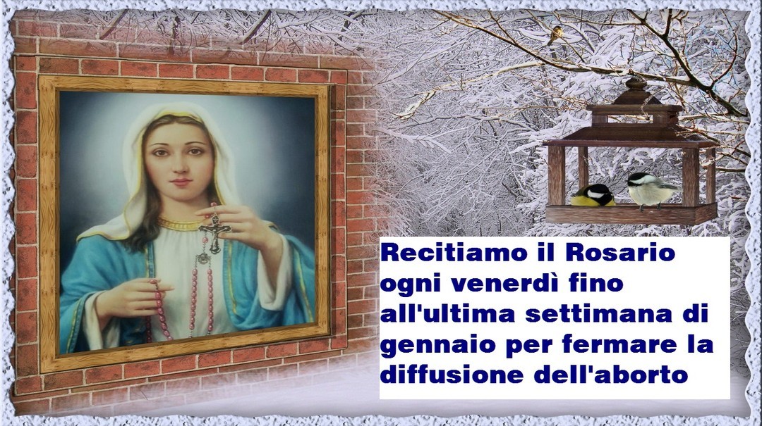 IMPORTANTE: ❥•♪♫ Recitiamo il Rosario ogni venerdì fino all'ultima settimana di gennaio per fermare la diffusione dell'aborto http://messaggidivinamisericordia.blogspot.com/2022/11/importante-recitiamo-il-rosario-ogni.html ºººº — █ █
January 03, 2023...