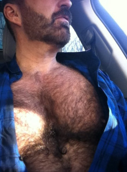iammegadaddyissues:  He’d opened His shirt while i was sucking Him, probably to avoid getting any cum on it should i be unable to catch it all in my mouth when He shot. i’d no idea He was so hairy and shuddered at the sight of Him. A Man’s hairy