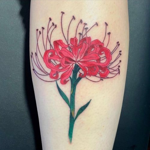 Spider lily by @xtrahuman . . . . . . #ashevilletattoos #nctattooers #magicdaggertattoo #avlart #828