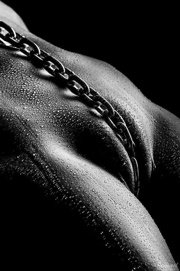 Bound to please