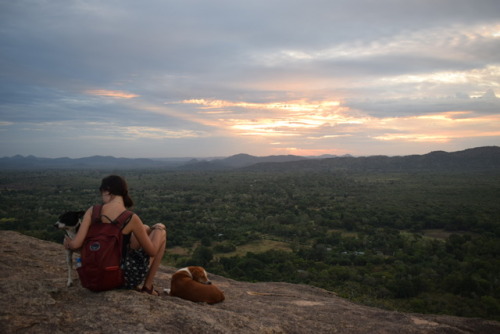 Day 303: Pidurangala Sunrise 12th July 2017