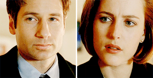 foxanddana: Synchrony  noun1.simultaneous action, development, or occurrence.