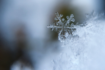 wearejapan:  DISCOVER: Japan’s 72 micro-seasonsJapan’s appreciation of nature