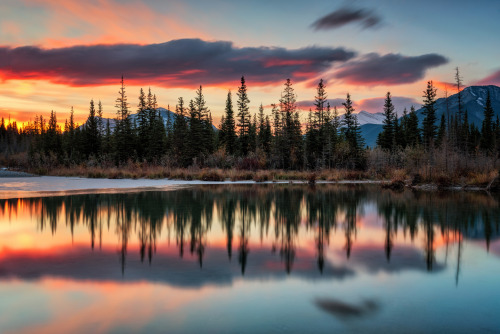 lewerta: The whole of nature in its beauty! Photo by Mark Jinks