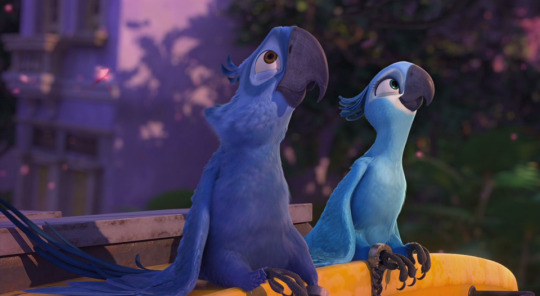 moonymango:  Yo, you guys remember Rio from Blue Sky Studios (Happy Feet, The Peanuts Movie)? Y’know, that movie about a Spix’s Macaw that believes to be the last of his kind? And then finds out that he isn’t? And proceeds to find friends, have
