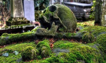 sixpenceee:A skull gravestone overgrown with moss. This is located in Brugge General Cemetery in Bel