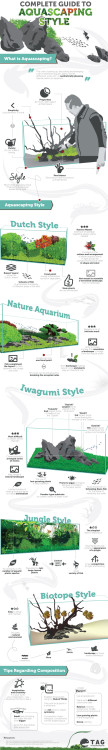 fuck-yeah-aquascaping:A neat summary of various layouts by theaquariumguide.com. Thank you guys for 