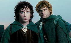 mirkwoodling:Fellowship of the Ring: Sam and Frodo