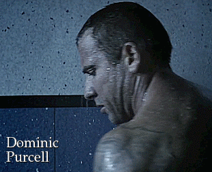Porn photo el-mago-de-guapos:  Dominic Purcell Elimination