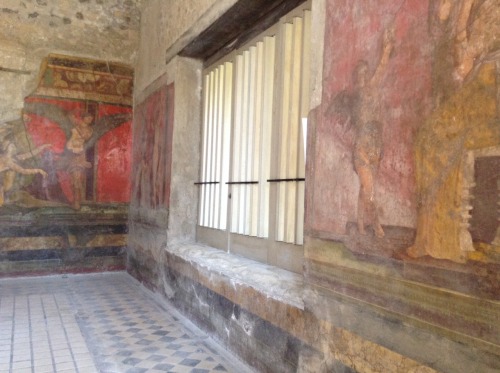 the-fault-in-marys-life:Mystery’s room - Pompeii