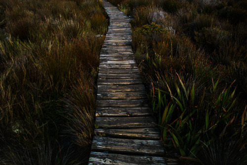 stephaniedolen - textures - table mountain, cape town