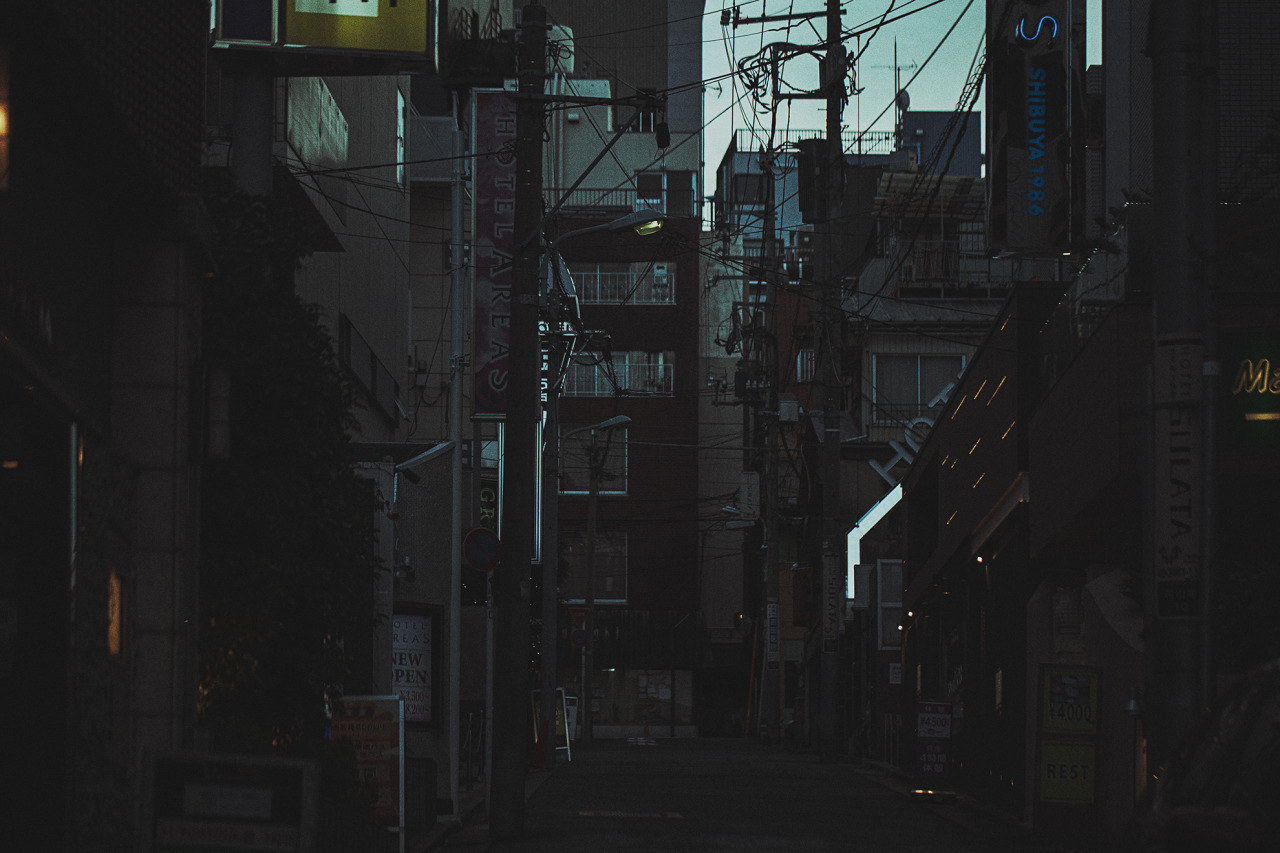 n1976:  Maruyama Cho 2015/03  Photo: Koji Nishida