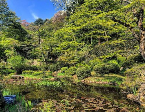 ＼おにわさん更新情報／ ‪[ 福島県会津若松市 ] 大龍寺庭園 Dairyu-ji Temple Garden, Aizuwakamatsu, Fukushima の写真・記事を更新しました。 ーー江