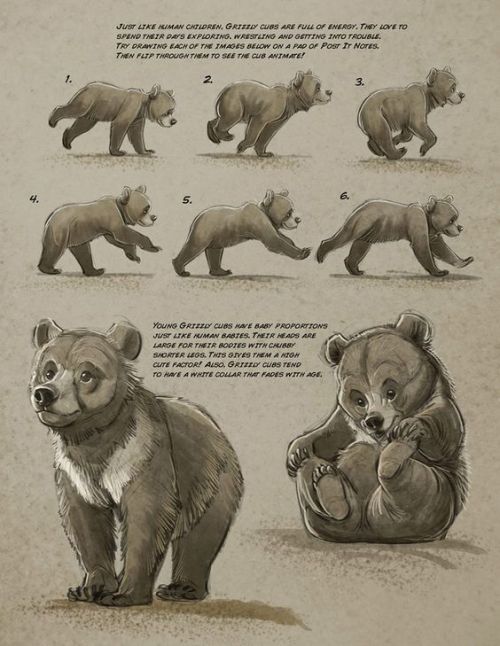 anatoref:  Bear by Aaron Blaise  porn pictures
