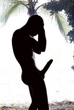 The beautiful and awesomely sensuous profile of a NAKED and ERECT male!