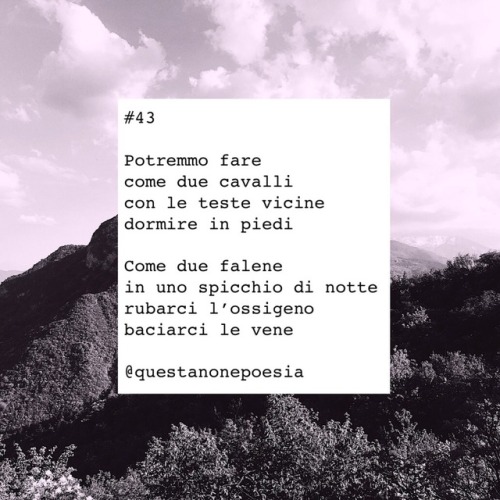 questanonepoesia